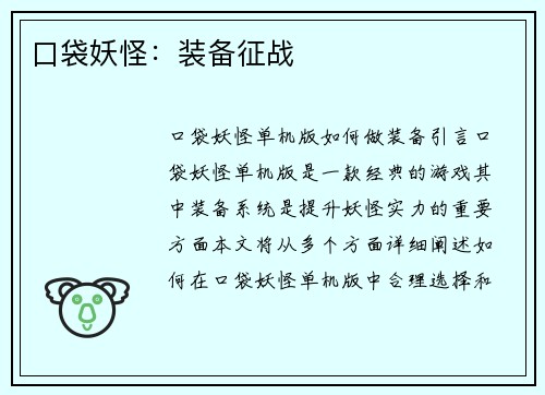 口袋妖怪：装备征战